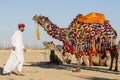 Camel and indian men wearing traditional Rajasthani dress participate in Mr. Desert contest as part of Desert Festival in Jaisalme