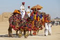 Camel and indian men wearing traditional Rajasthani dress participate in Mr. Desert contest as part of Desert Festival in Jaisalme