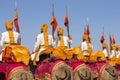 Camel and indian men wearing traditional Rajasthani dress participate in Mr. Desert contest as part of Desert Festival in Jaisalme