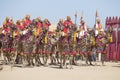 Camel and indian men wearing traditional Rajasthani dress participate in Mr. Desert contest as part of Desert Festival in Jaisalme