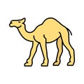 Camel Isolated Vector icon that can be easily modified or edited Royalty Free Stock Photo