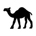 Camel Isolated Vector icon that can be easily modified or edited Royalty Free Stock Photo