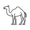Camel Isolated Vector icon which can easily modify or edit Royalty Free Stock Photo