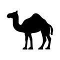 Camel Isolated Vector icon which can easily modify or edit Royalty Free Stock Photo
