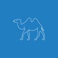 Camel Line Art silhouette vector