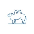 Camel line icon concept. Camel flat  vector symbol, sign, outline illustration. Royalty Free Stock Photo