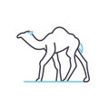 camel line icon, outline symbol, vector illustration, concept sign Royalty Free Stock Photo