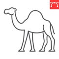 Camel line icon