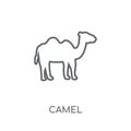 Camel linear icon. Modern outline Camel logo concept on white ba Royalty Free Stock Photo