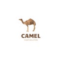 Camel logo Royalty Free Stock Photo