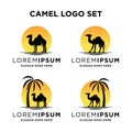 Camel logo design template vintage camel vector illustration Royalty Free Stock Photo