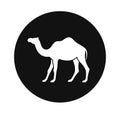 Camel logo. Isolated koala on white background Royalty Free Stock Photo