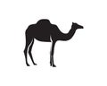 Camel logo template vector Royalty Free Stock Photo