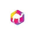 Camel logo template vector icon illustration Royalty Free Stock Photo