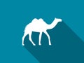 Camel with a long shadow. Camel with two humps icon. Vector