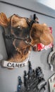 Camel Magnetic Souvenir Royalty Free Stock Photo