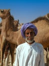 Camel market in the desert of south egypt