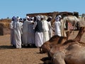 Camel market in the desert of south egypt