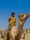 Camel market in the desert of south egypt