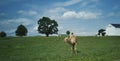 A Camel in the Middle of Pennsylvania Farm Lands Royalty Free Stock Photo