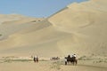 Camel in Mingsha Shan, Dunhuang Royalty Free Stock Photo