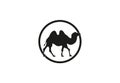 Camel minimal illustration