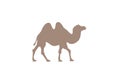 Camel minimal illustration