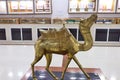 Camel museum in National Research Centre on Camel, Bikaner
