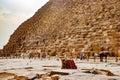 Camel near the ancient pyramid in Cairo, Egypt