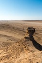 Camel Neck in Tunisia