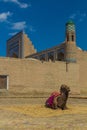 Camel in the old town of Khiva, Uzbekist