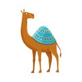 Camel with one hump and dromedary. Desert animal walking with decorative ethnic ornament saddle, side view. Cartoon Royalty Free Stock Photo