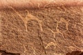 Camel Petroglyphs Valley of Moon Wadi Rum Jordan Royalty Free Stock Photo