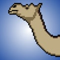 Camel with pixel art