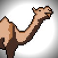 Camel with pixel art