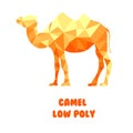 Camel. Polygonal vector illustration isolated on white background. Low poly Royalty Free Stock Photo