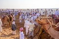 Camel Race