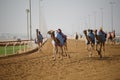 Camel race