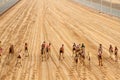 Camel Race Track Starting Point Royalty Free Stock Photo