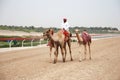 Camel racing