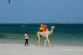 Camel with saddle and black man on the beach
