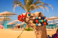 Camel resting in shadow on the beach Royalty Free Stock Photo