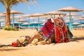Camel resting in shadow on the beach of Hurghada Royalty Free Stock Photo