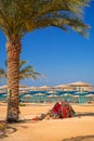 Camel resting in shadow on the beach Royalty Free Stock Photo