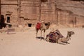 camel rests in Petra