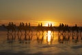 Camels on Cable Beach, Broome