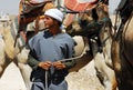 Camel Ride and Desert Activities in the Judean Desert Israel Royalty Free Stock Photo