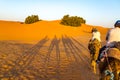 Camel Ride in the Desert