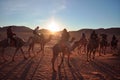 Sunrise ride on Camels in the Morokko Desert