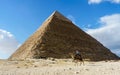 A camel ride in front of the pyramid of Giza.